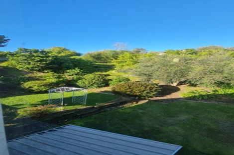 Photo of property in 11 Shortland Place, Havelock North, 4130