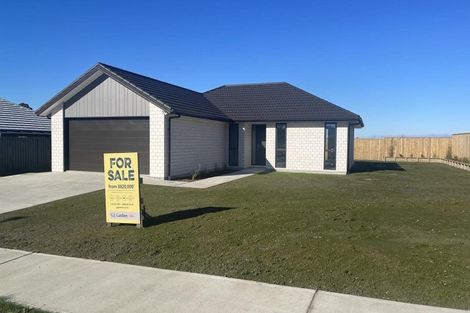 Photo of property in 9 Williams Road, Hobsonville, Auckland, 0618