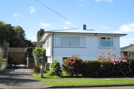 Photo of property in 25 Macarthur Street, Levin, 5510