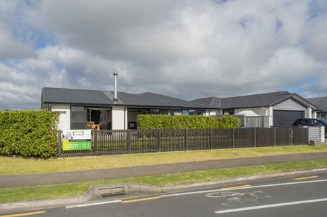 Photo of property in 114 Te Ranga Memorial Drive, Pyes Pa, Tauranga, 3112