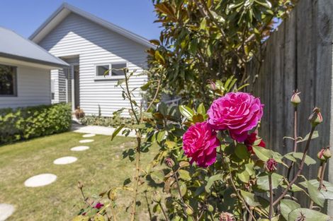 Photo of property in 8 Winton Street, St Albans, Christchurch, 8014