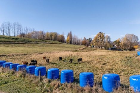 Photo of property in 202 Blackman Road, Blackmans, Alexandra, 9391