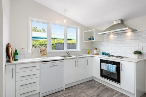 Photo of property in 19 Herbert Street, Mayfield, Blenheim, 7201