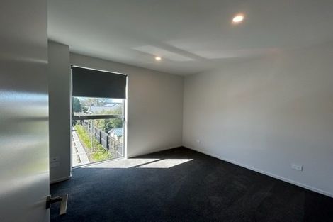 Photo of property in 17/7 Lindores Street, Addington, Christchurch, 8024