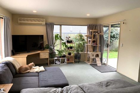 Photo of property in 3 Malthouse Lane, Heathcote Valley, Christchurch, 8022