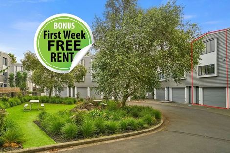 Photo of property in 8 Dovedale Place, Parnell, Auckland, 1010
