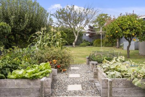 Photo of property in 8 Paisley Street, Awapuni, Palmerston North, 4412