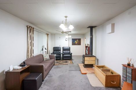 Photo of property in 3 Highfield Street, Waiau, 7332