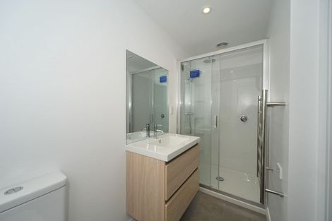 Photo of property in 44a Moxham Avenue, Hataitai, Wellington, 6021