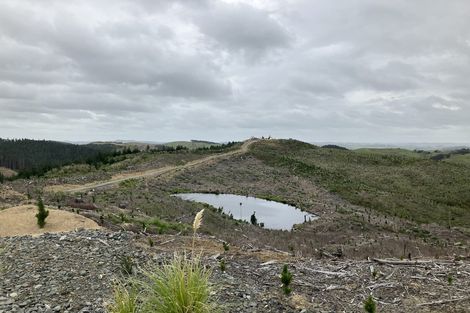 Photo of property in 670 Bickerstaffe Road, Maungaturoto, 0587