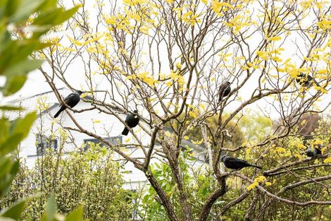 Photo of property in 46e Navigation Drive, Whitby, Porirua, 5024