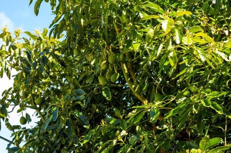 Photo of property in 804 Egmont Road, Hillsborough, New Plymouth, 4372