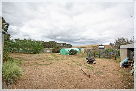 Photo of property in 332 Foxton Shannon Road, Foxton, 4893