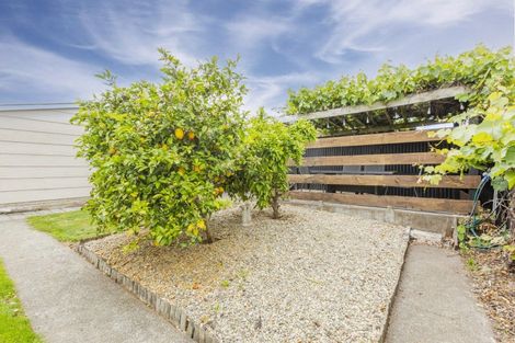 Photo of property in 8 Goodger Street, Waipukurau, 4200