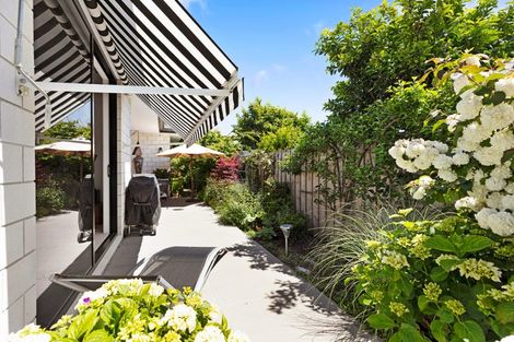 Photo of property in 50b Sixteenth Avenue, Tauranga South, Tauranga, 3112