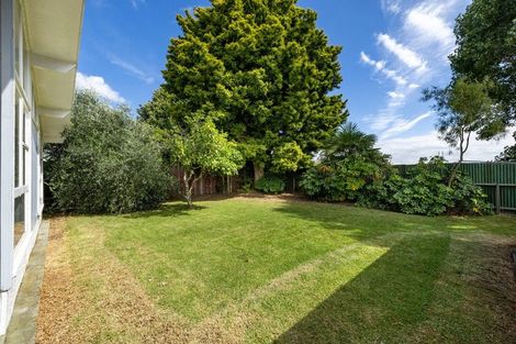 Photo of property in 11 Thorpe Street, Fairview Downs, Hamilton, 3214