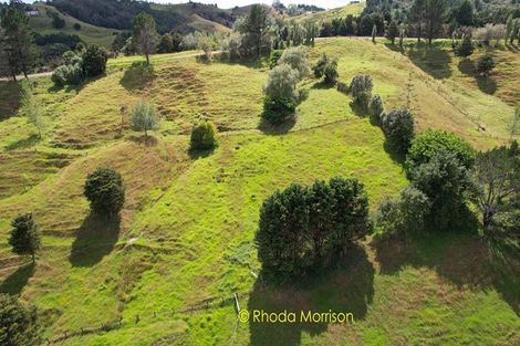 Photo of property in 318 Franklin Road, Paparoa, 0571