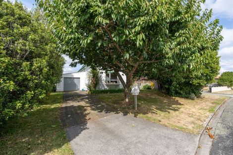 Photo of property in 12 Caesar Roose Drive, Glenview, Hamilton, 3206