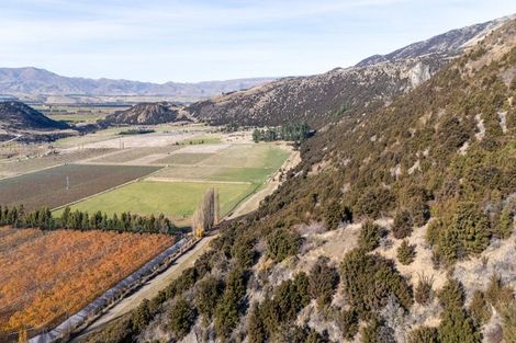 Photo of property in 132 Willowbank Road, Queensberry, Cromwell, 9383