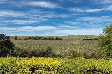 Photo of property in 299 Reserve Road, Seddon, 7285