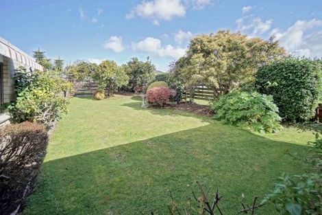 Photo of property in 12 Hookey Drive, Te Puke, 3119
