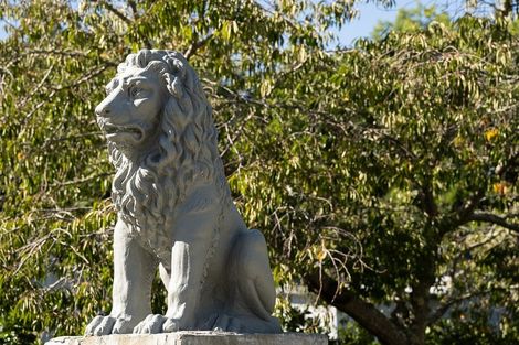 Photo of property in 143 Valley Road, Mangapapa, Gisborne, 4010