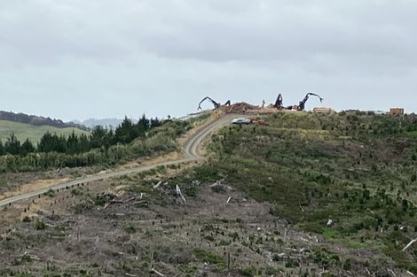 Photo of property in 670 Bickerstaffe Road, Maungaturoto, 0587