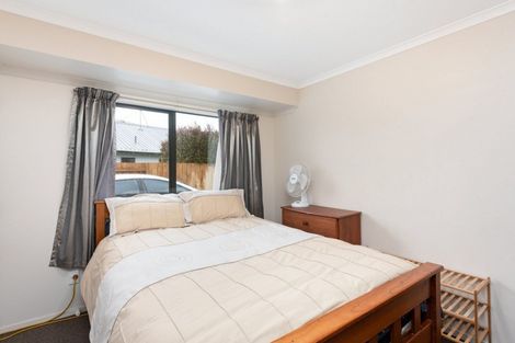 Photo of property in 47 Solomon Street, Brookfield, Tauranga, 3110