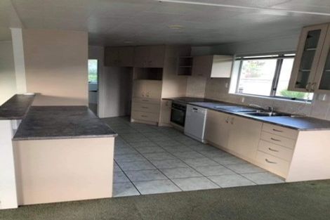 Photo of property in 40 Larissa Avenue, Henderson, Auckland, 0610