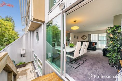 Photo of property in 1a/10 Park Avenue, Epuni, Lower Hutt, 5011