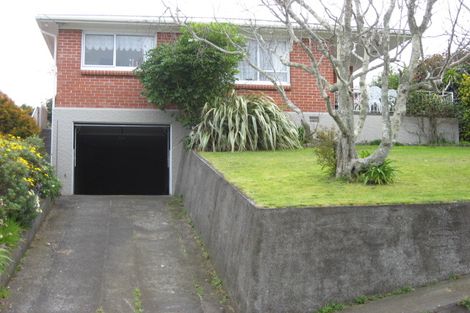 Photo of property in 50 Awanui Street, Merrilands, New Plymouth, 4312