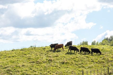 Photo of property in 65 Old Reservoir Road, Karangahake, Paeroa, 3674