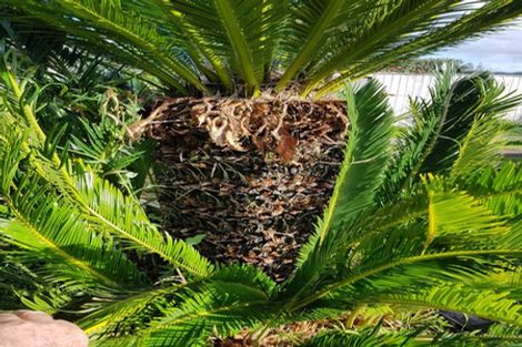 Photo of property in 656 One Tree Point Road, Ruakaka, Whangarei, 0171