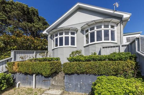 Photo of property in 18 Carrington Street, Mount Cook, Wellington, 6021