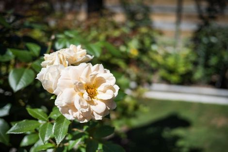 Photo of property in 153a High Street, Bulls, 4818