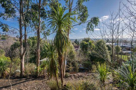 Photo of property in 1b Goodwin Street, Waihola, Milton, 9073