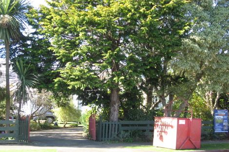 Photo of property in 29 Macarthur Street, Levin, 5510