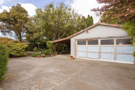 Photo of property in 24 Donegal Street, Belfast, Christchurch, 8051