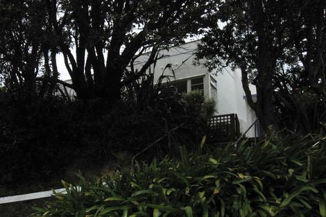 Photo of property in 127 The Ridgeway, Mornington, Wellington, 6021