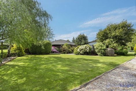 Photo of property in 2377 Homebush Road, Coalgate, 7673