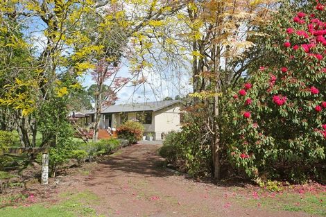 Photo of property in 154 Waipipi Wharf Road, Pollok, Waiuku, 2683