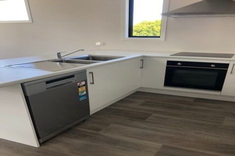 Photo of property in 65a Twentysecond Avenue, Gate Pa, Tauranga, 3112