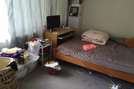 Photo of property in 17 Gregory Place, Mount Roskill, Auckland, 1041