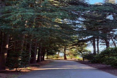 Photo of property in 206 Beach Road East, Elgin, Ashburton, 7777