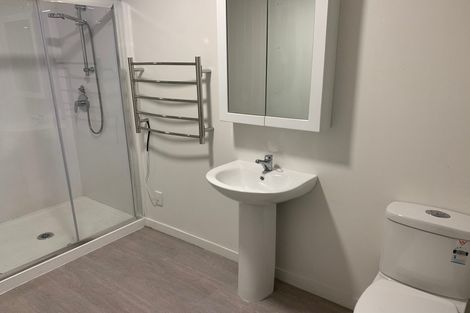 Photo of property in 603 Duck Creek Road, Stillwater, Silverdale, 0993