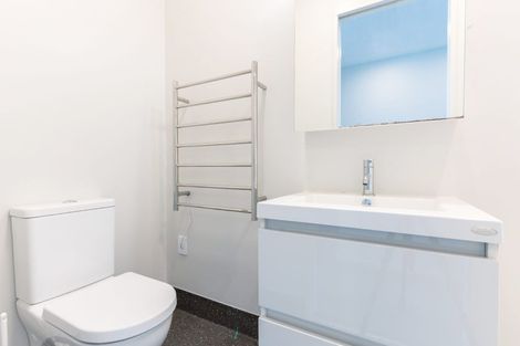 Photo of property in Aniva Terrace, 14 Arney Street, Newtown, Wellington, 6021