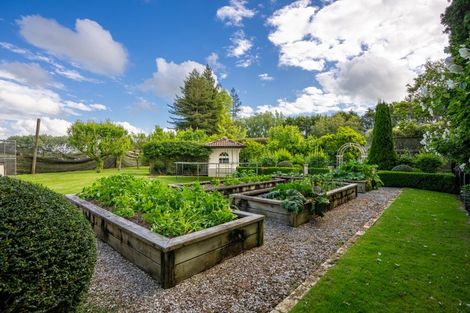 Photo of property in 161 Bollard Road, Tamahere, Hamilton, 3283