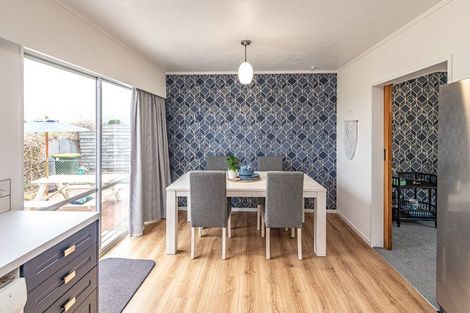 Photo of property in 9 Ascot Street, Levin, 5510