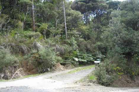 Photo of property in 143 Piha Road, Piha, New Lynn, 0772