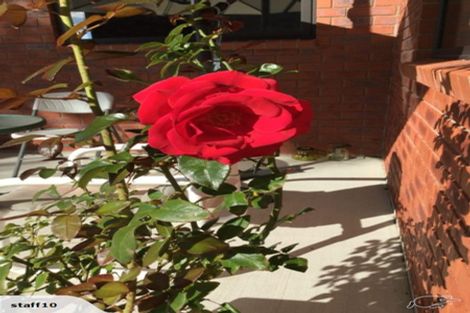 Photo of property in 12 O'farrell Drive, One Tree Point, 0118